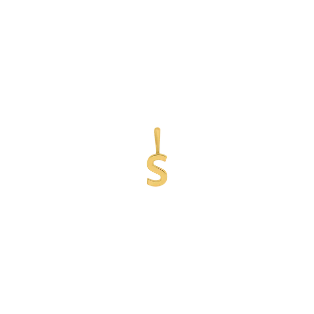 xenox-fine-s-letter-anh-nger-585-gelbgold image 1
