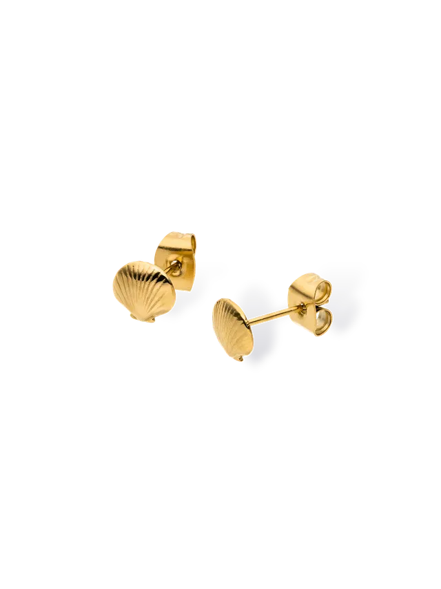 purelei-seashell-ohrringe-muschel-ohrstecker-7-mm image 1