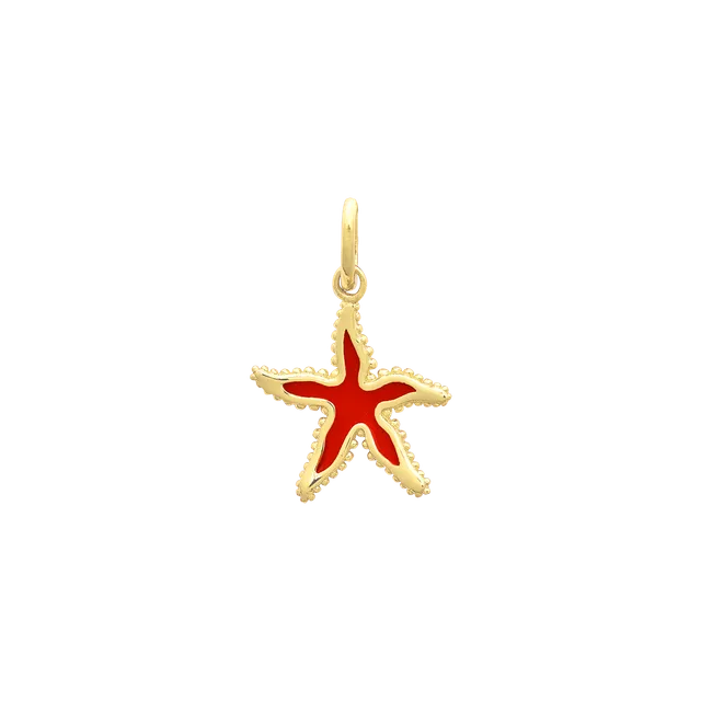 xenox-seestern-charm-925-sterlingsilber-14k-vergoldung-mit-farbeinsatz image 1