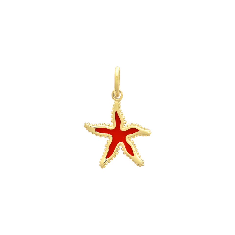 xenox-seestern-charm-925-sterlingsilber-14k-vergoldung-mit-farbeinsatz image 1