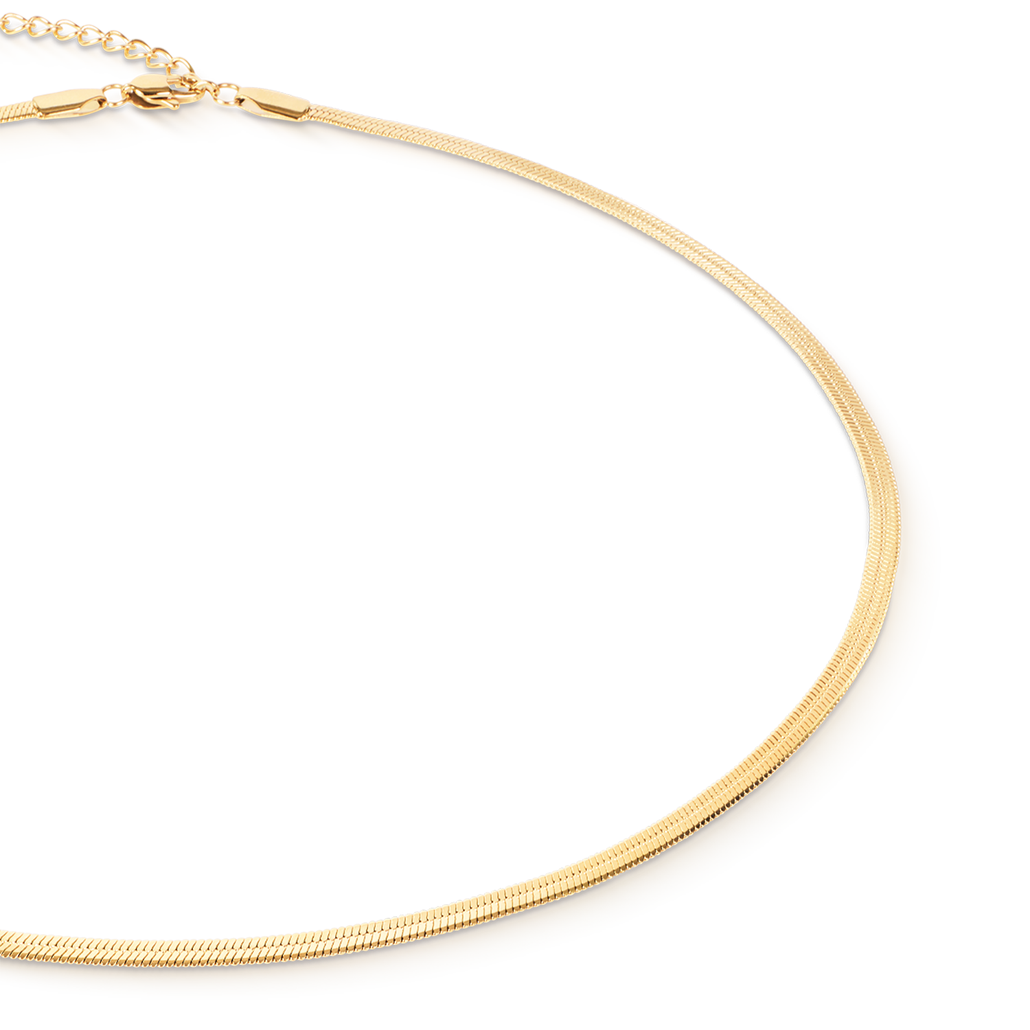 coeur-de-lion-flache-schlangenkette-gold-3-mm-42-cm image 2