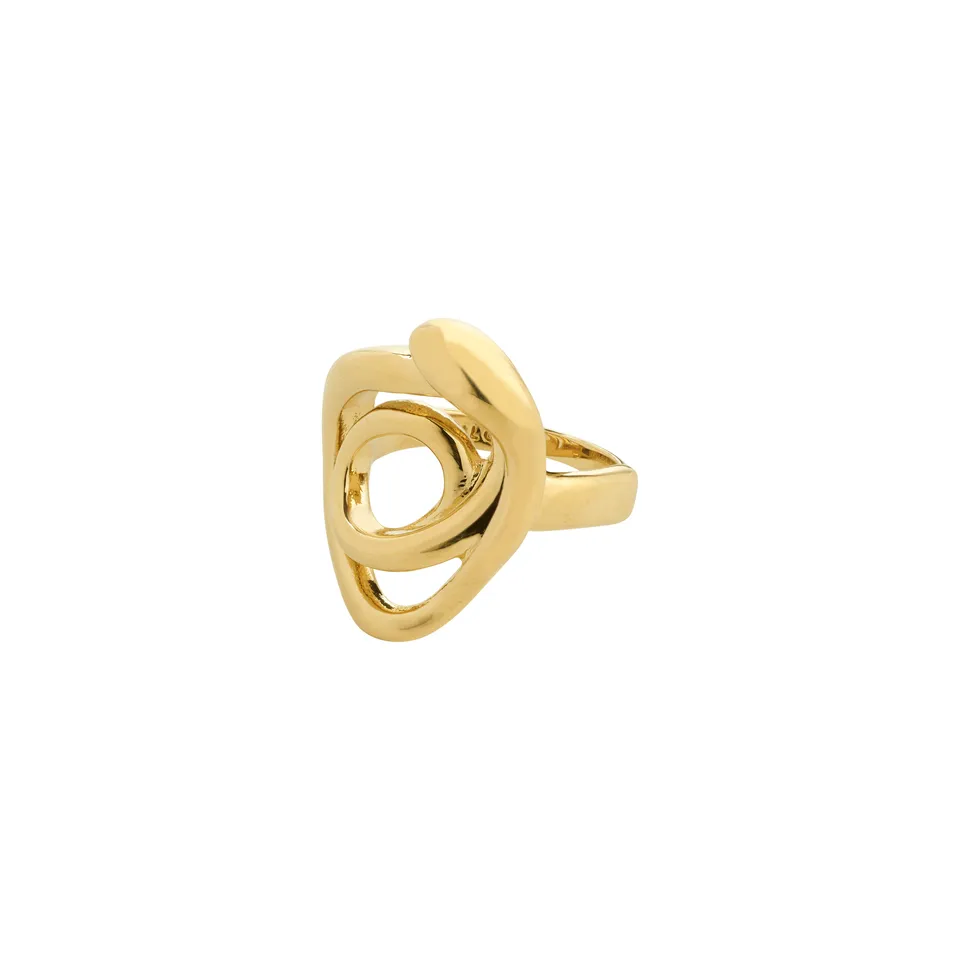 pilgrim-diego-statement-ring-vergoldet image 1