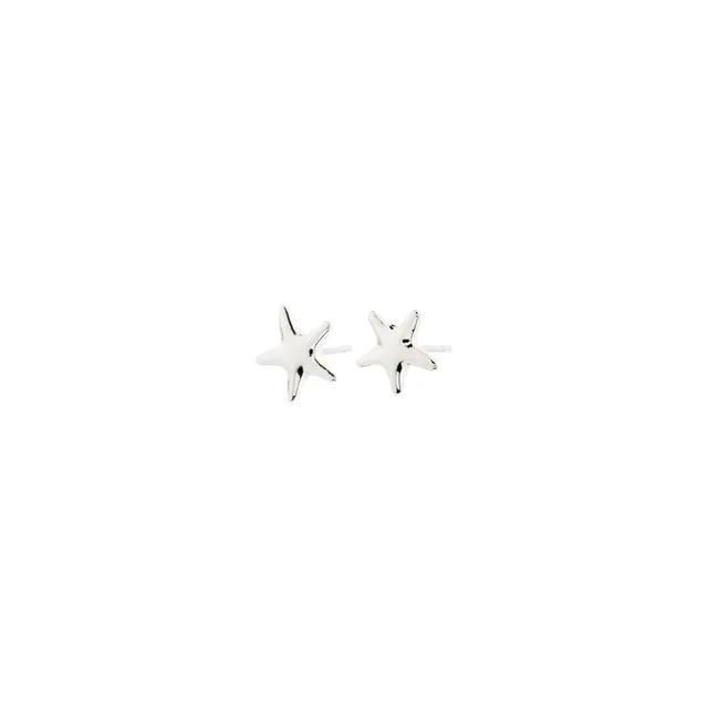 pilgrim-andr-ohrstecker-versilbert-kleine-seestern-stecker image 1