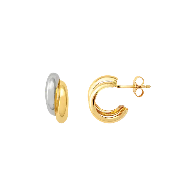 xenox-fine-bicolor-ohrringe-585-gelbgold image 1