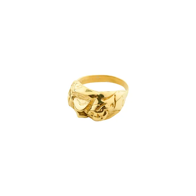 pilgrim-lior-ring-goldplattiert-verstellbar image 1