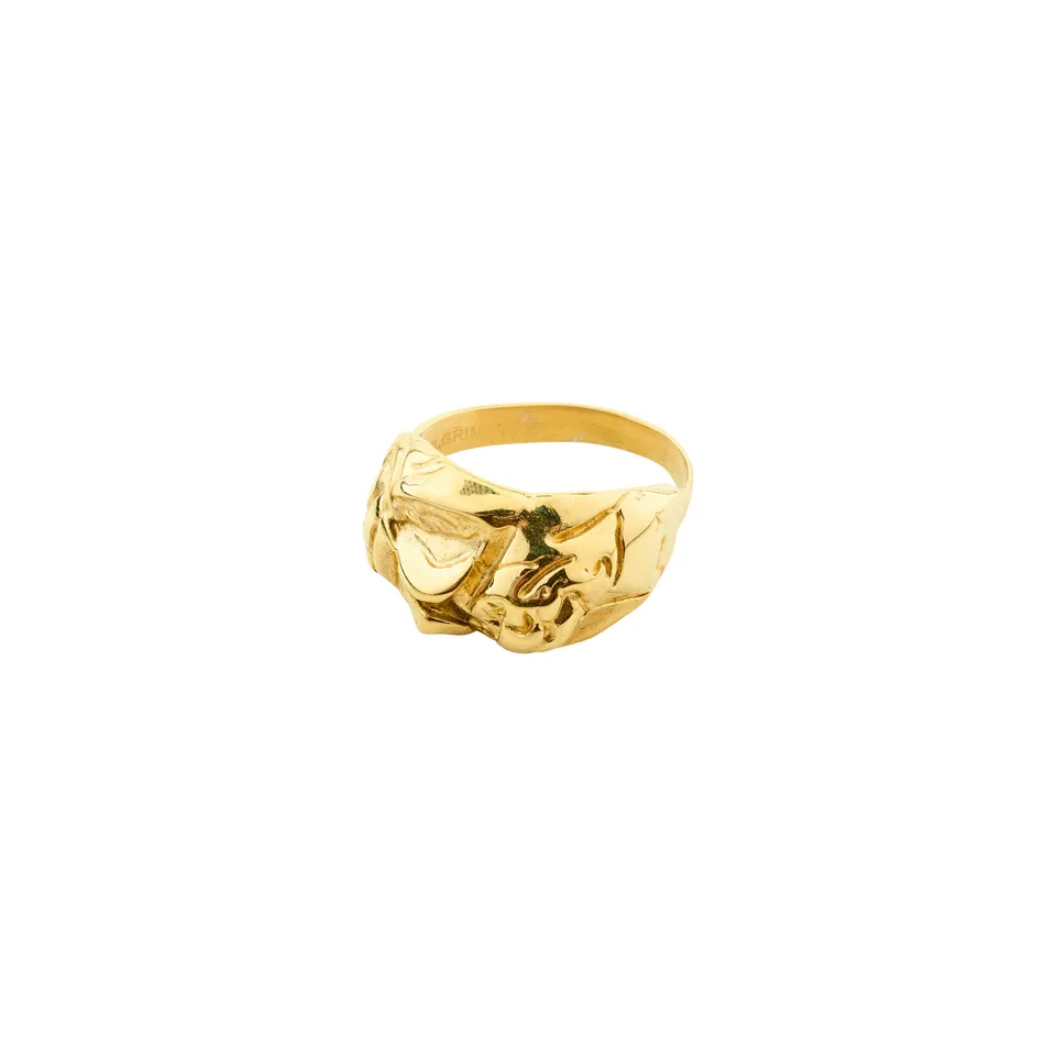 pilgrim-lior-ring-goldplattiert-verstellbar image 1