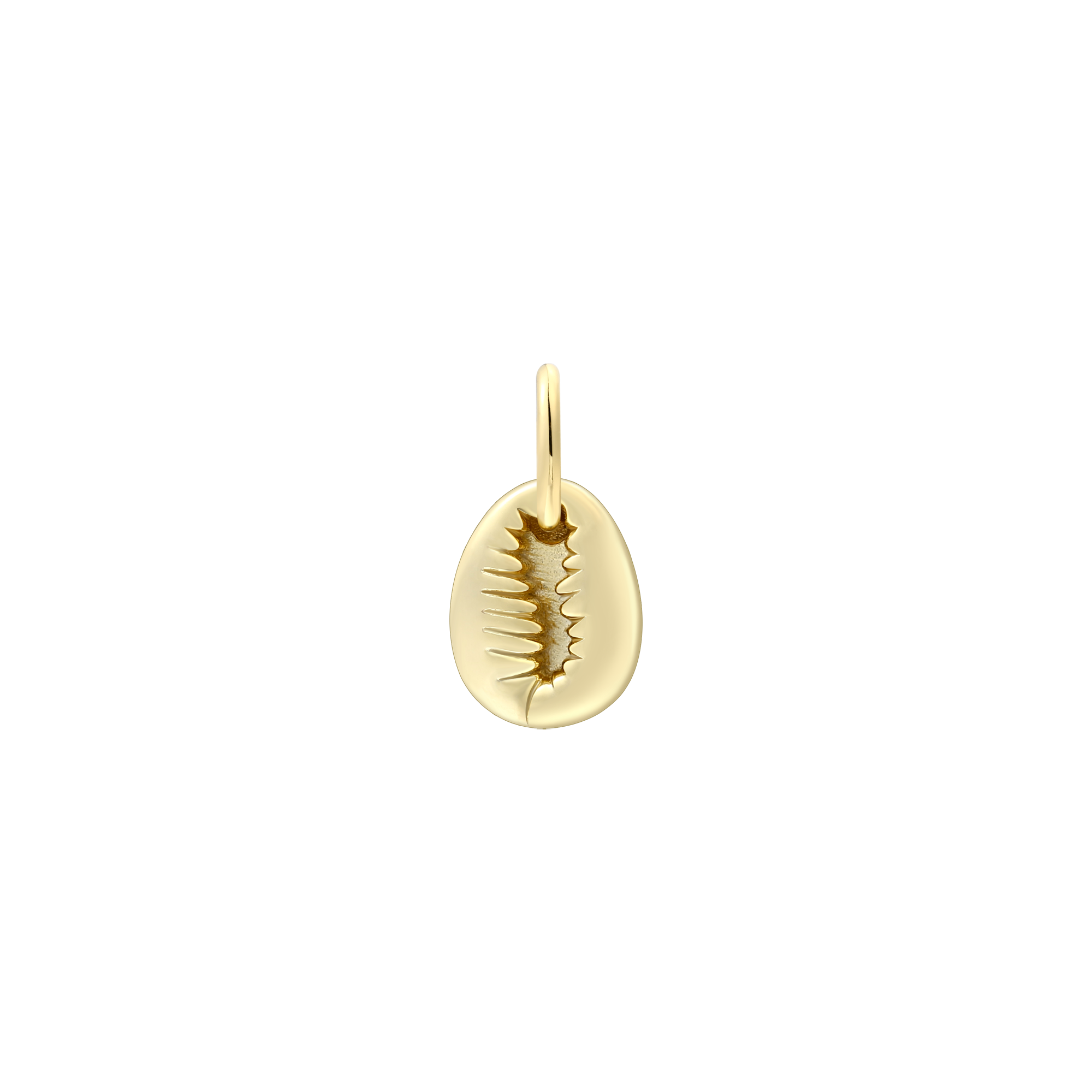 xenox-muschel-charm-925-sterlingsilber-rhodiniert-xs10513 image 2