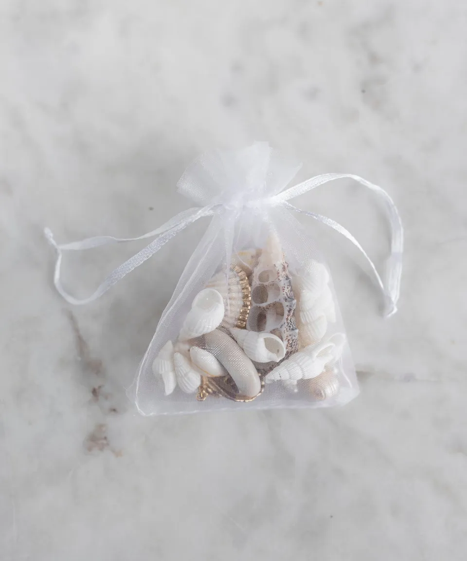 wald-berlin-candyman-shell-kit-diy-muschel-set-zum-selbermachen image 1