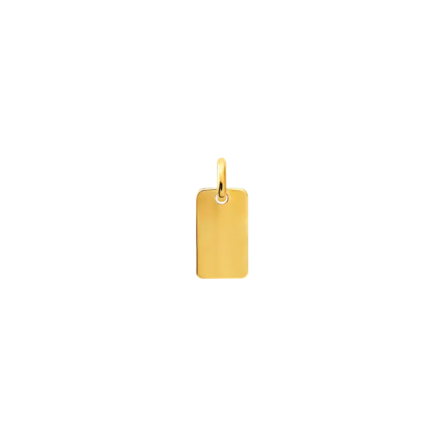 xenox-fine-gravur-anh-nger-pl-ttchen-585-gelbgold-xg14k0112gn image 1