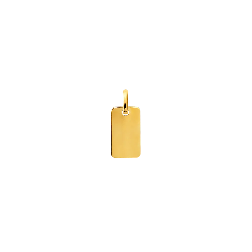 xenox-fine-gravur-anh-nger-pl-ttchen-585-gelbgold-xg14k0112gn image 1