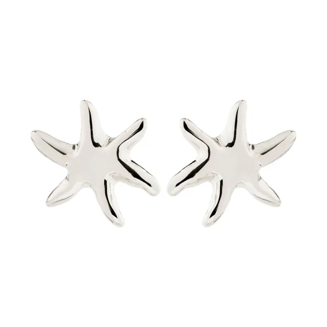 pilgrim-prism-ohrstecker-versilbert-seestern image 1