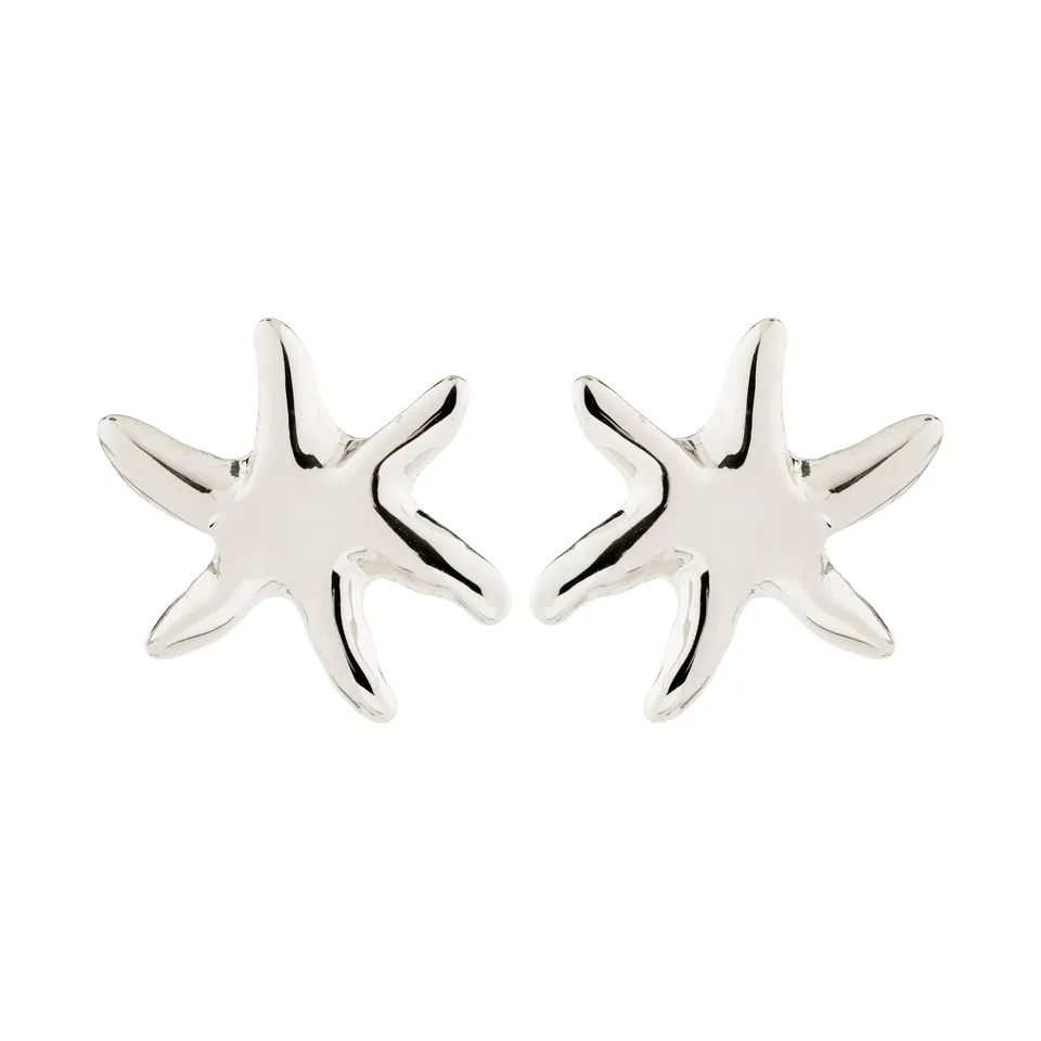 pilgrim-prism-ohrstecker-versilbert-seestern image 1