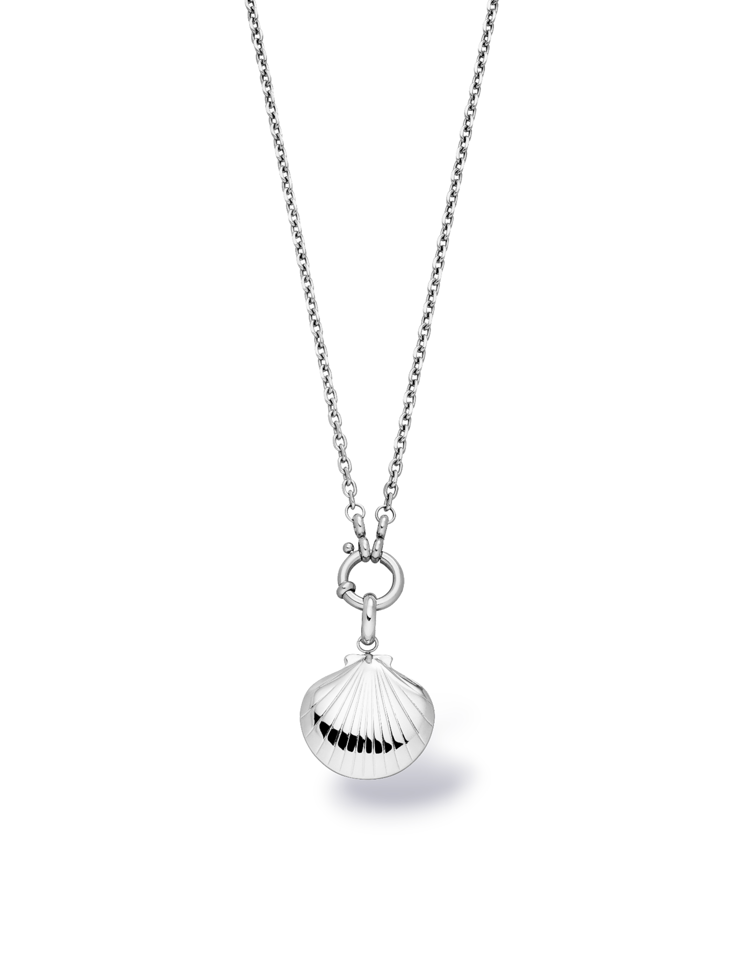 purelei-seashell-charm-muschel-anh-nger-34-mm-gold-silber-ros-gold image 6