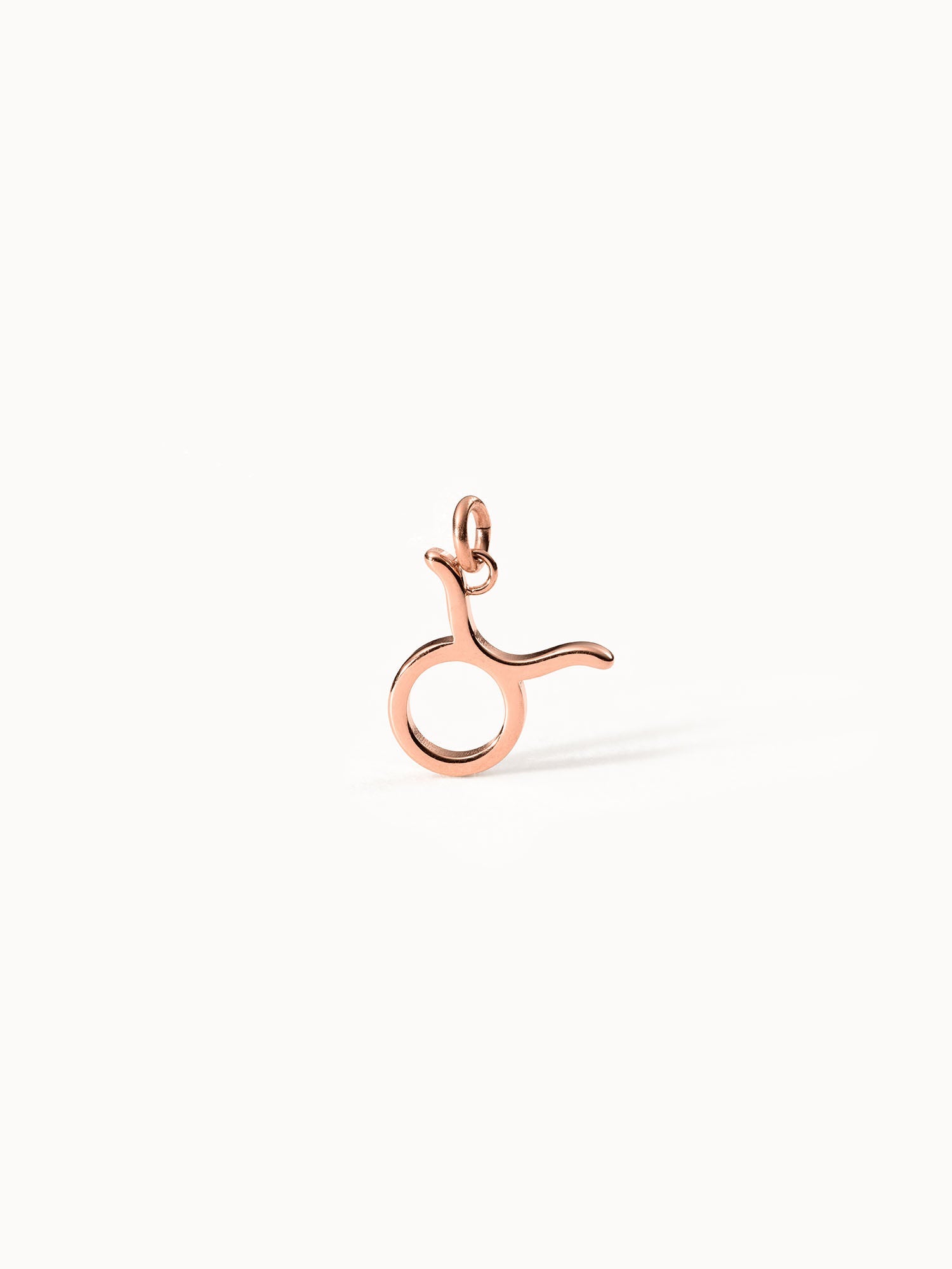 purelei-stier-zodiac-charm-sternzeichen-anh-nger image 5