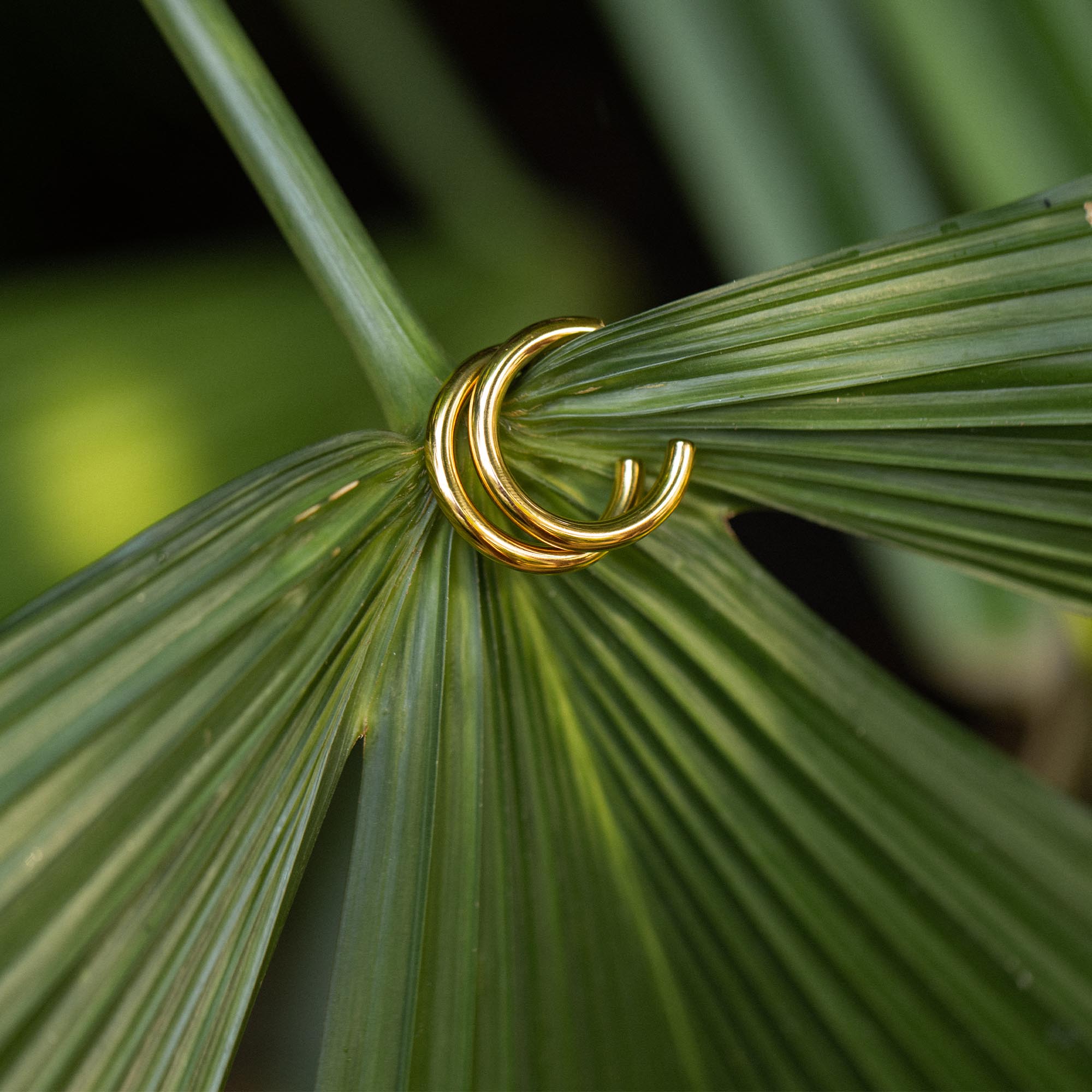 purelei-kumu-o-creolen-30-mm-basic-hoops-4-mm image 4