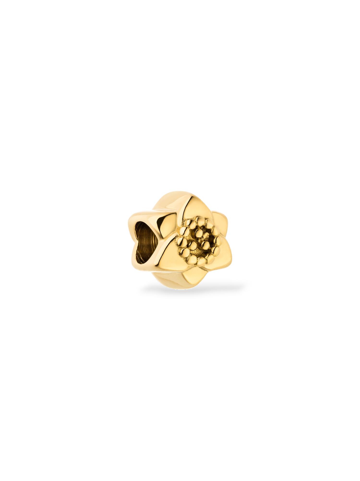 purelei-lei-narzissen-charm-dezember-geburtsblume-anh-nger-8-mm image 1