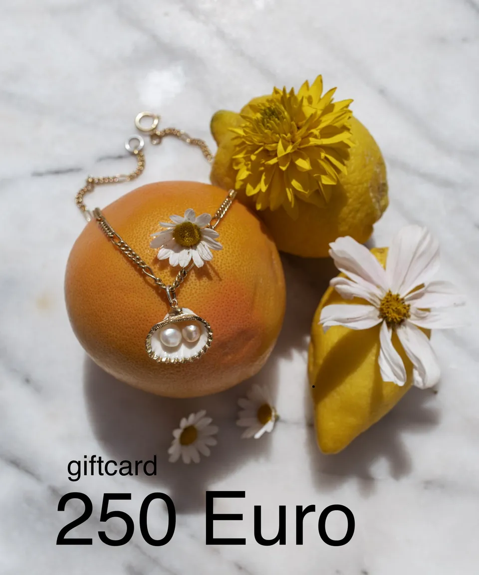 wald-berlin-geschenkkarte-250-euro-gift-card image 1
