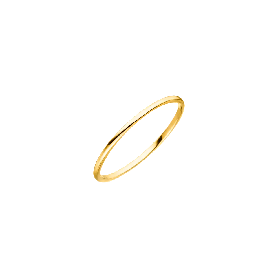 purelei-lihini-ring-minimalistischer-edelstahl-ring-14k-vergoldet-verschiedene-g image 1