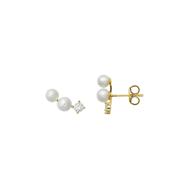 xenox-fine-perlen-ohrringe-xg14k6068g-585-gelbgold-mit-s-wasserperlen image 1