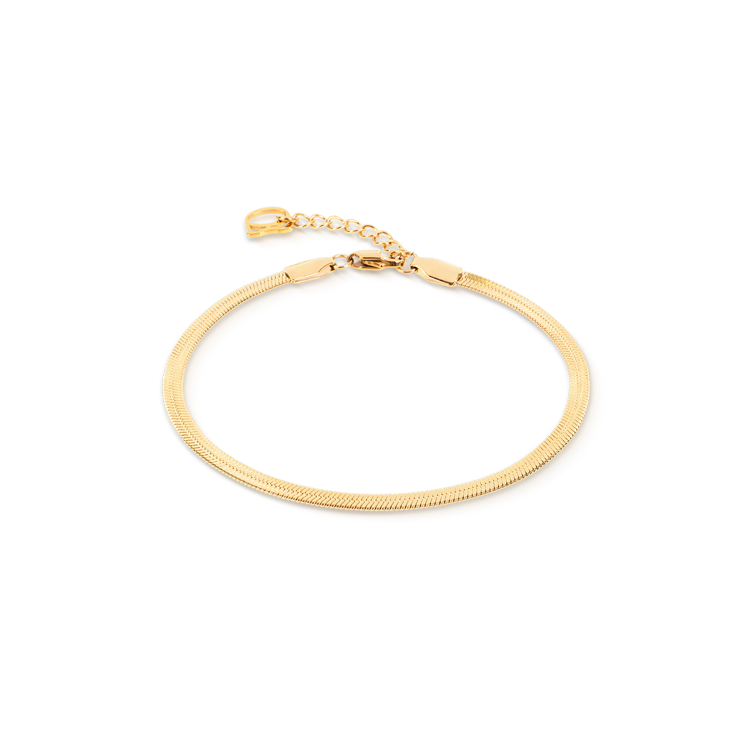 coeur-de-lion-flaches-schlangenarmband-gold-3-mm-17-5-cm image 1