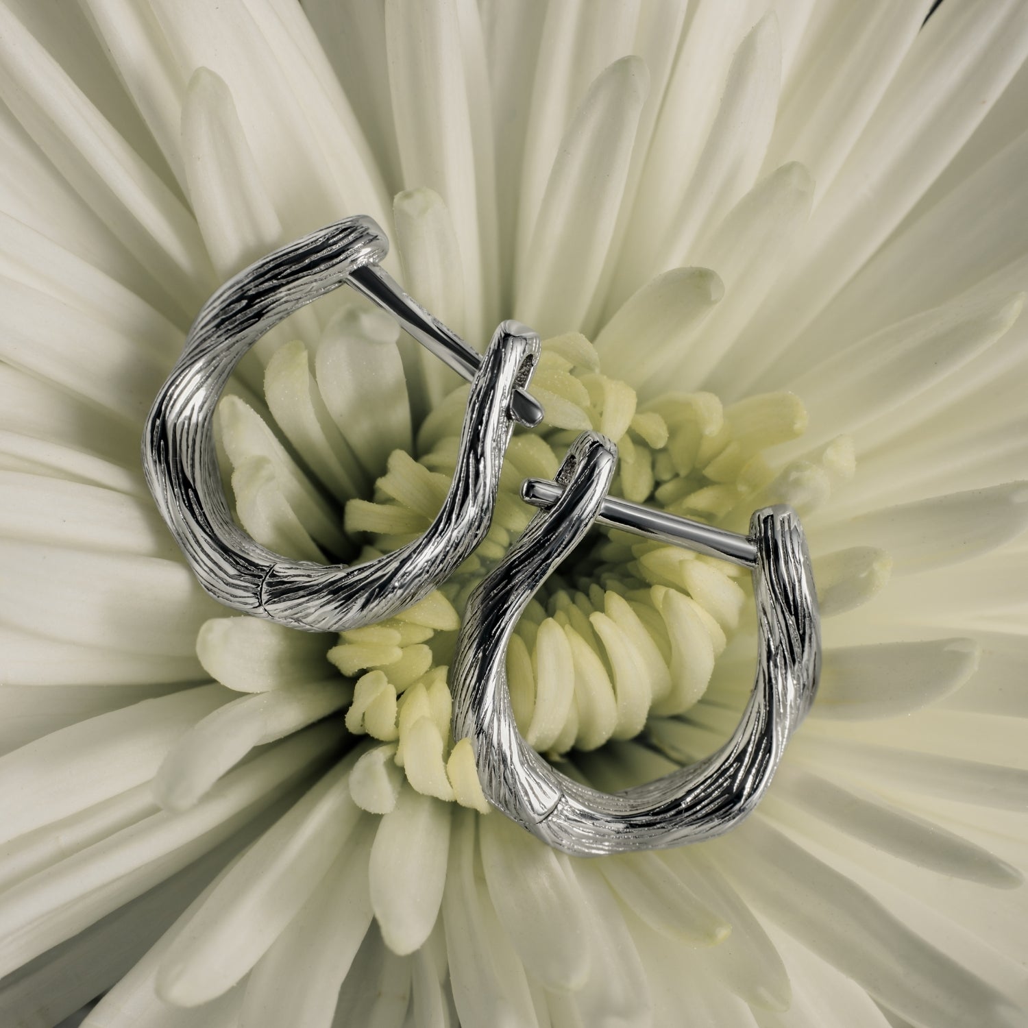 xenox-fiora-ohrringe-925-sterlingsilber-rhodiniert-blatt-creolen image 3