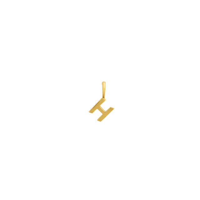 xenox-fine-h-letter-anh-nger-585-gelbgold-initial image 1