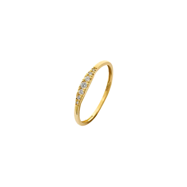 xenox-fine-nola-ring-585-gelbgold-mit-zirkonia image 1