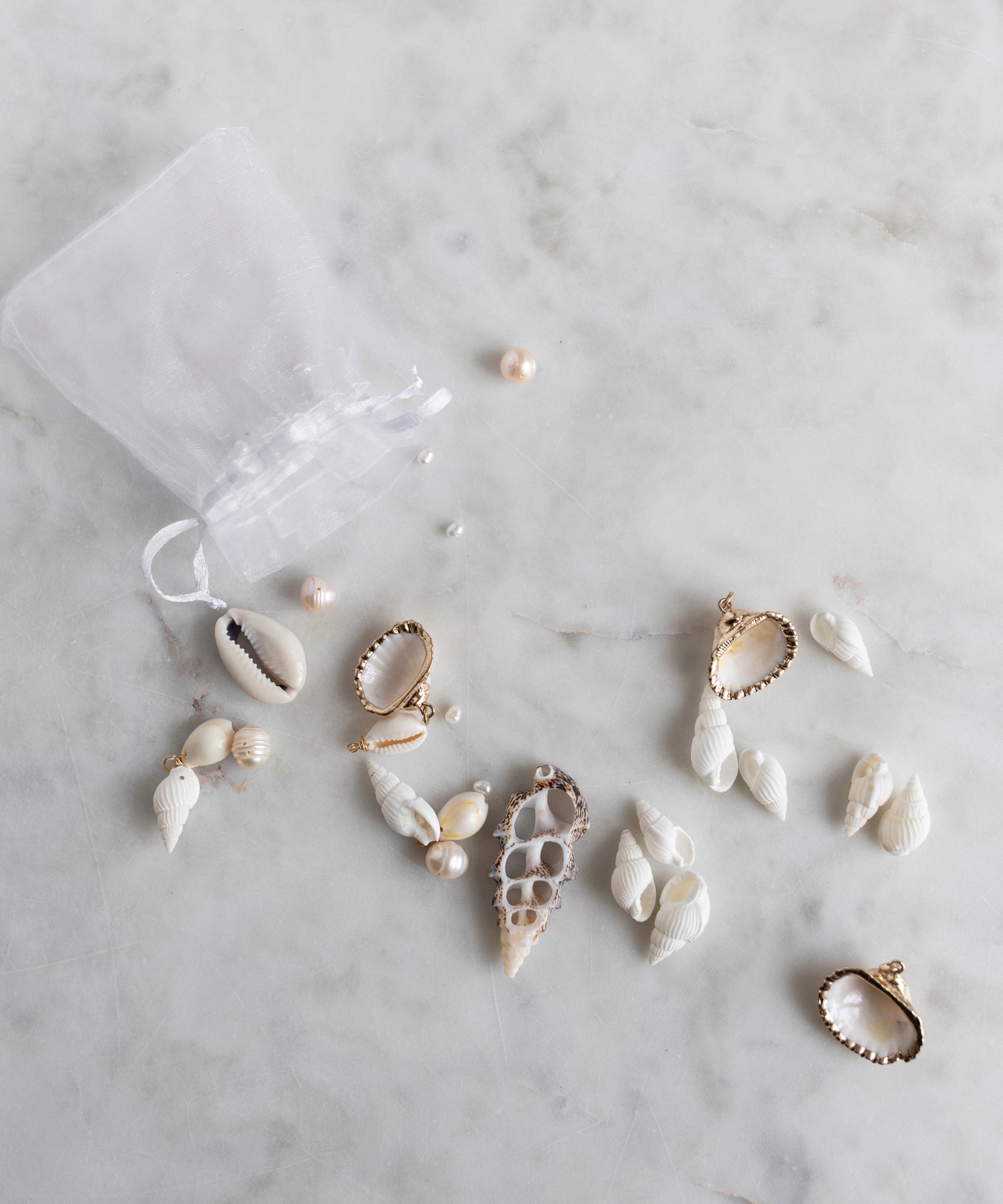 wald-berlin-candyman-shell-kit-diy-muschel-set-zum-selbermachen image 2