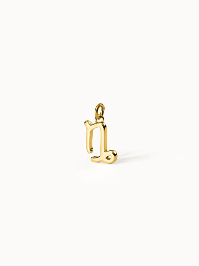 purelei-steinbock-zodiac-charm-sternzeichen-anh-nger image 1