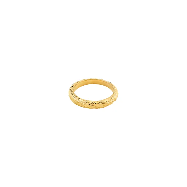 pilgrim-xdea-etch-ring-gr-52-18k-vergoldet image 1
