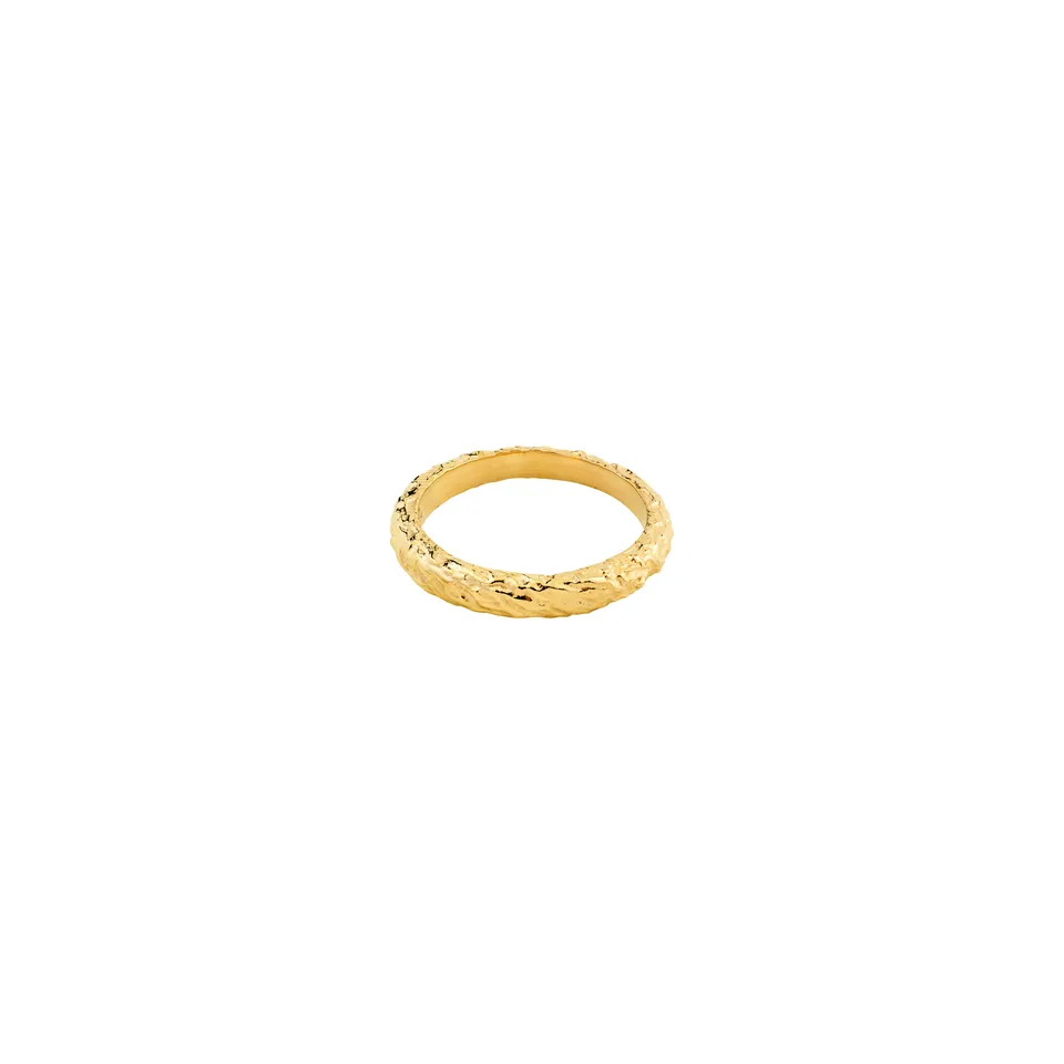 pilgrim-xdea-etch-ring-gr-52-18k-vergoldet image 1
