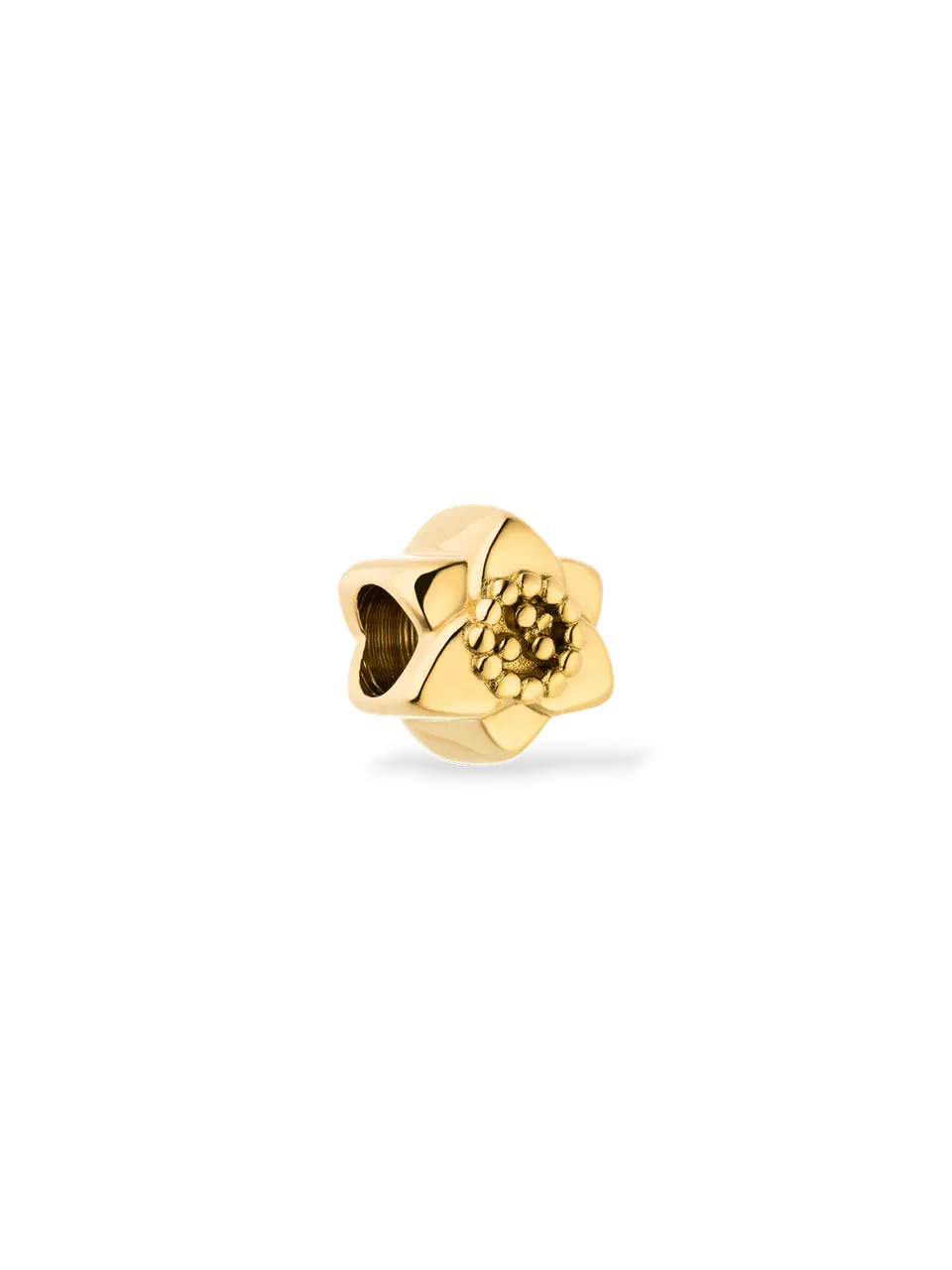 purelei-lei-narzissen-charm-dezember-geburtsblume-anh-nger-8-mm image 1