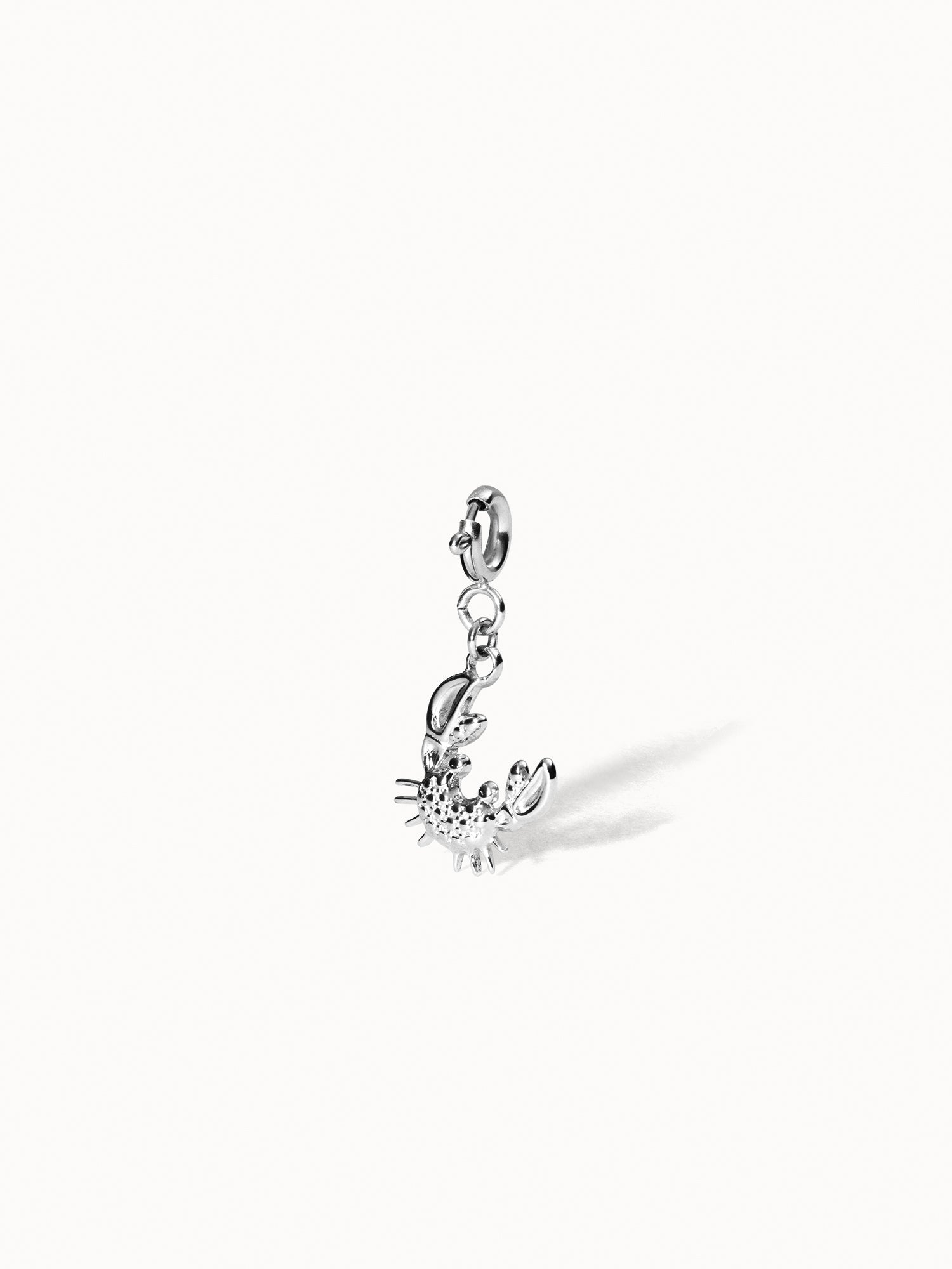 purelei-flex-krabben-charm-charm-anh-nger-mit-karabinerverschluss-1-g image 5