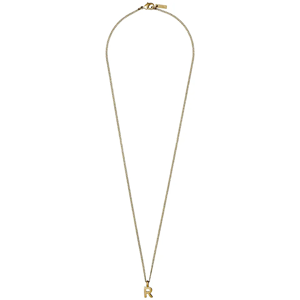 pilgrim-charm-halskette-mit-r-anh-nger-43-cm-vergoldet image 1