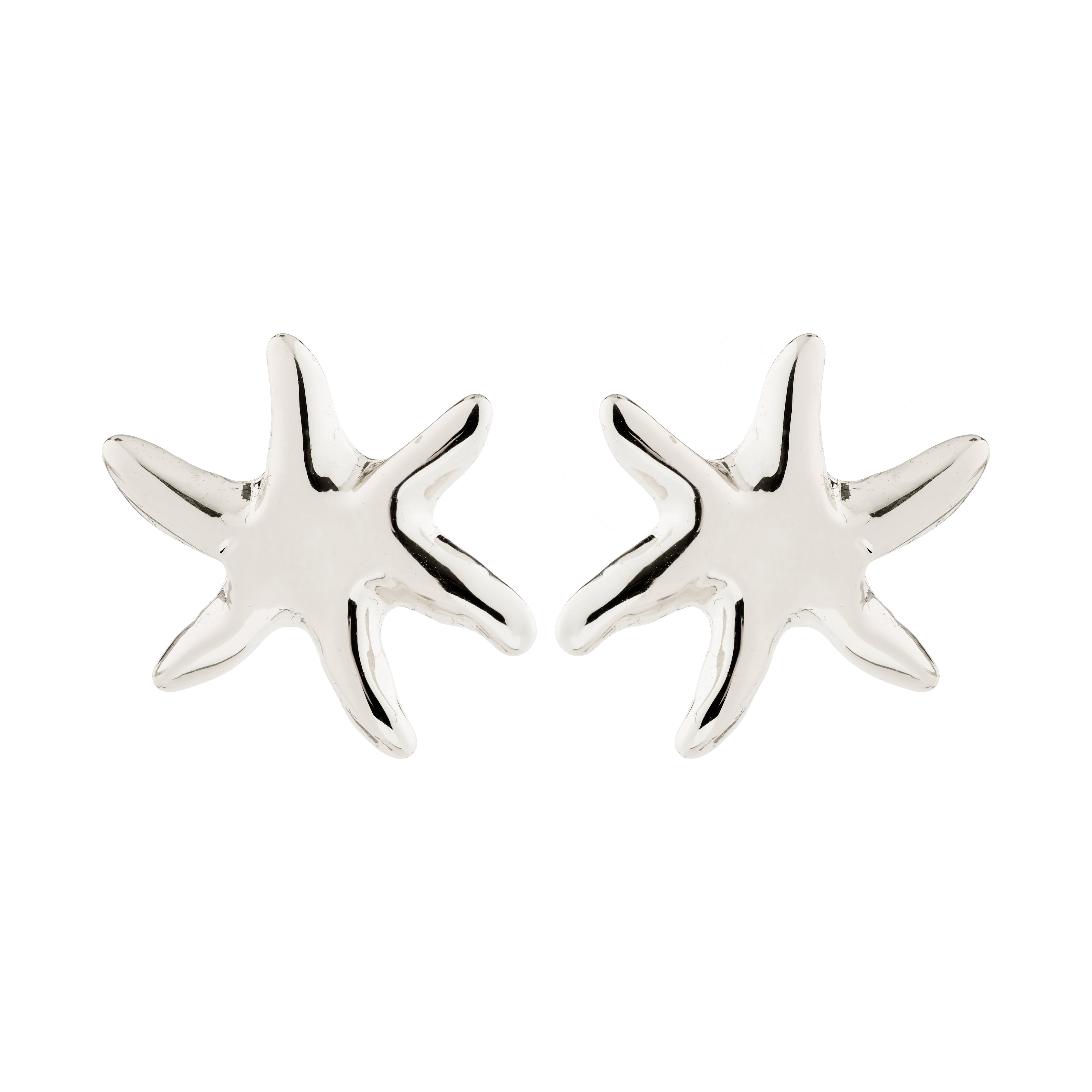 pilgrim-prism-ohrstecker-versilbert-seestern image 1