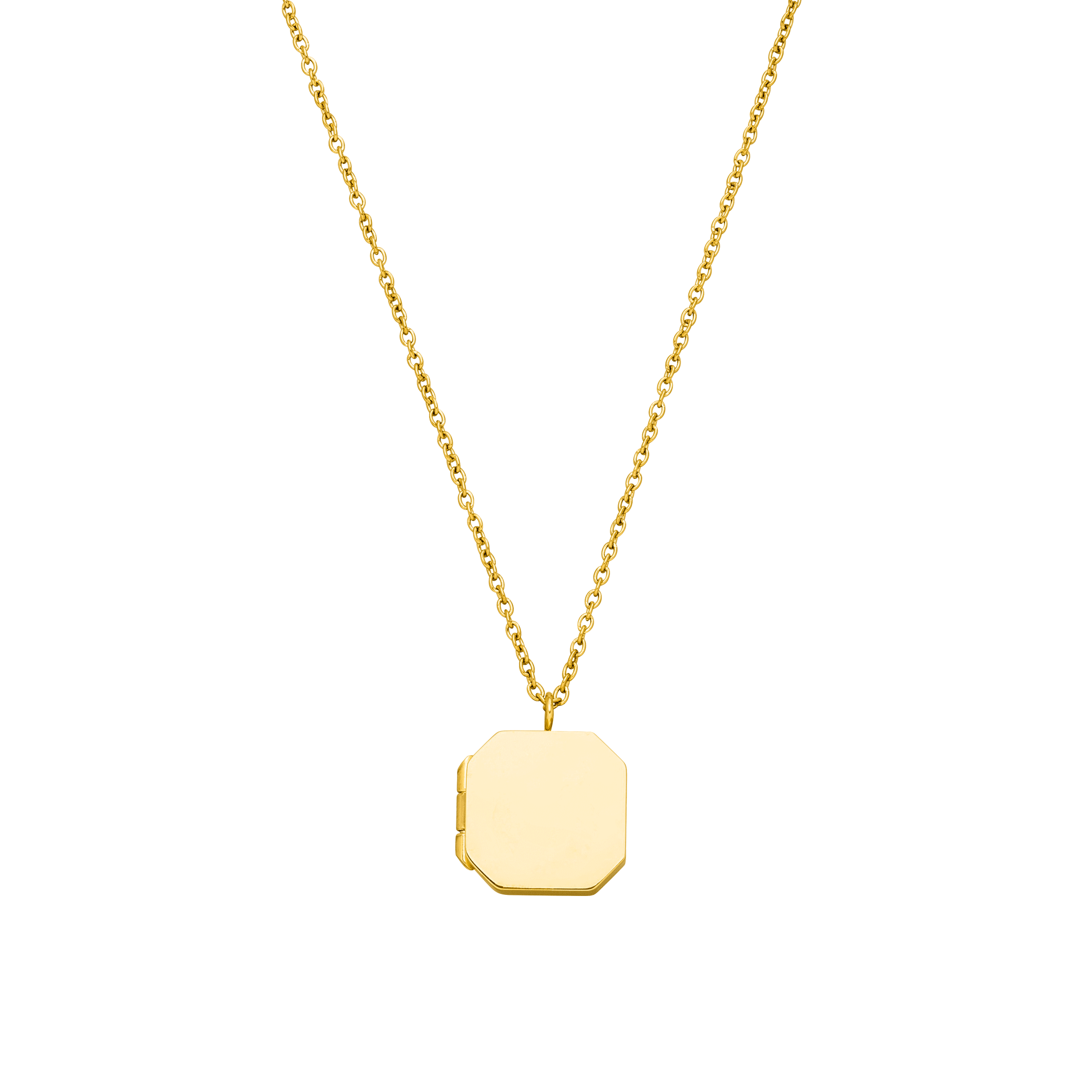 purelei-elegance-medaillon-kette-achteckig-gravierbar-50-55-cm image 1