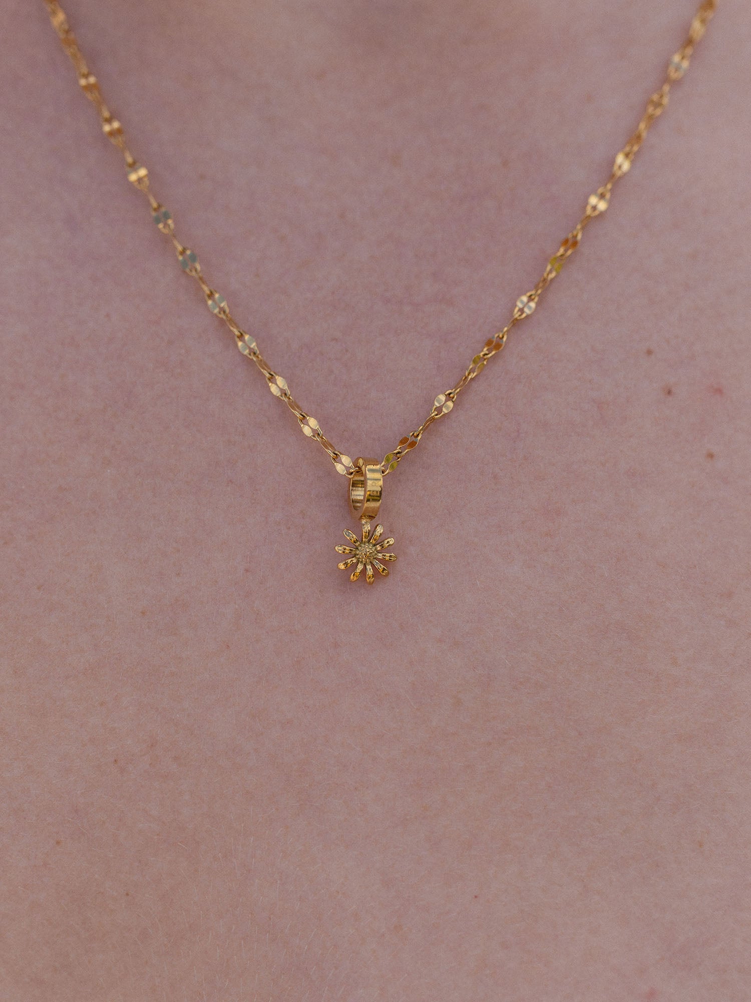 purelei-aster-charm-geburtsblume-september-anh-nger image 3