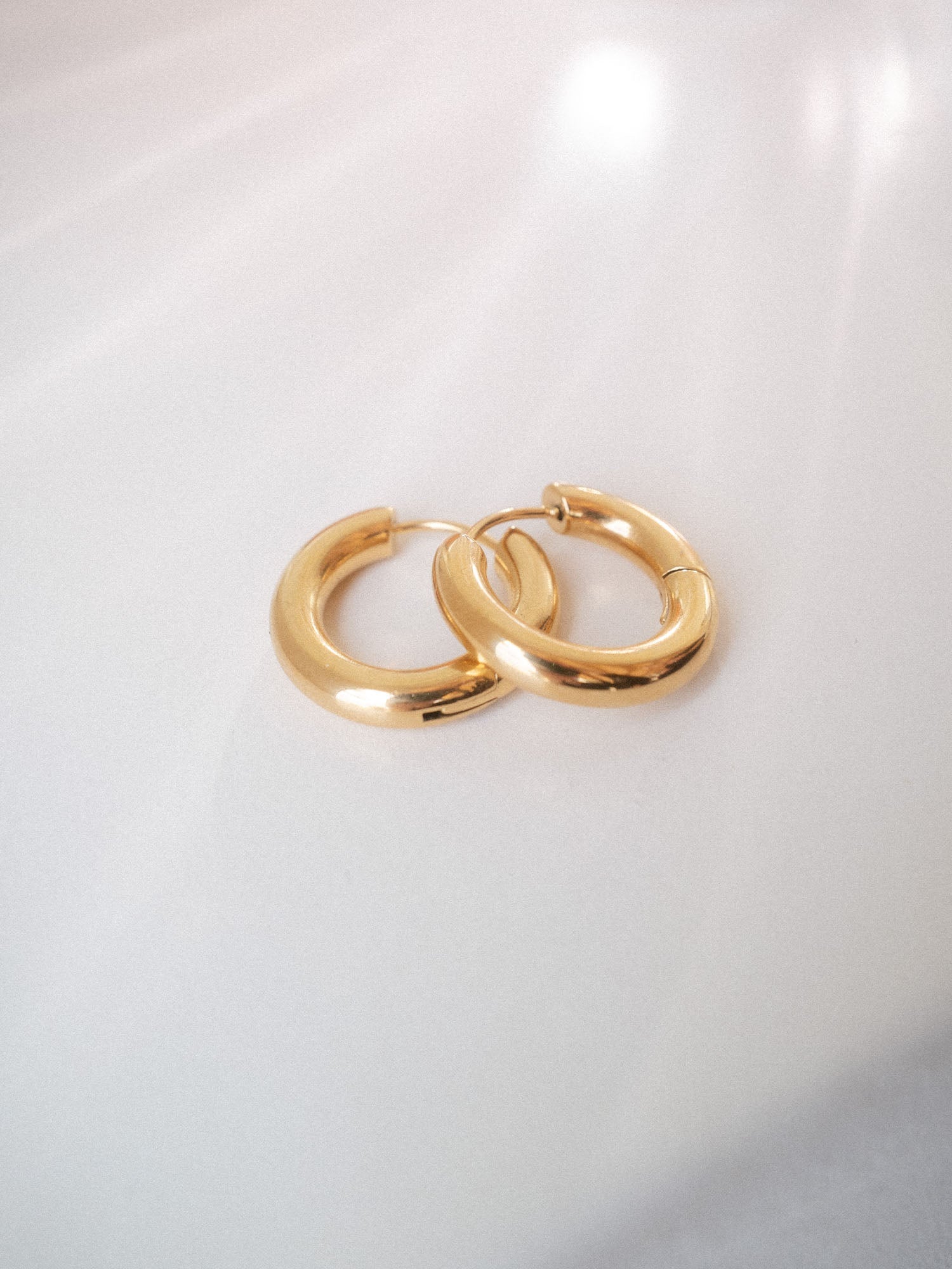 purelei-small-glamorous-ohrringe-creolen-21-mm-mit-scharnier-in-gold-und-silber image 2