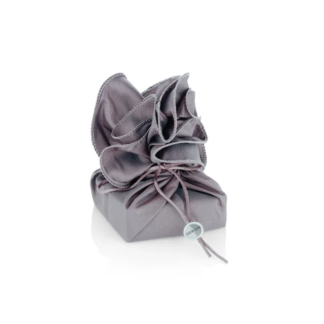 coeur-de-lion-geschenkverpackung-schmuck-box image 1
