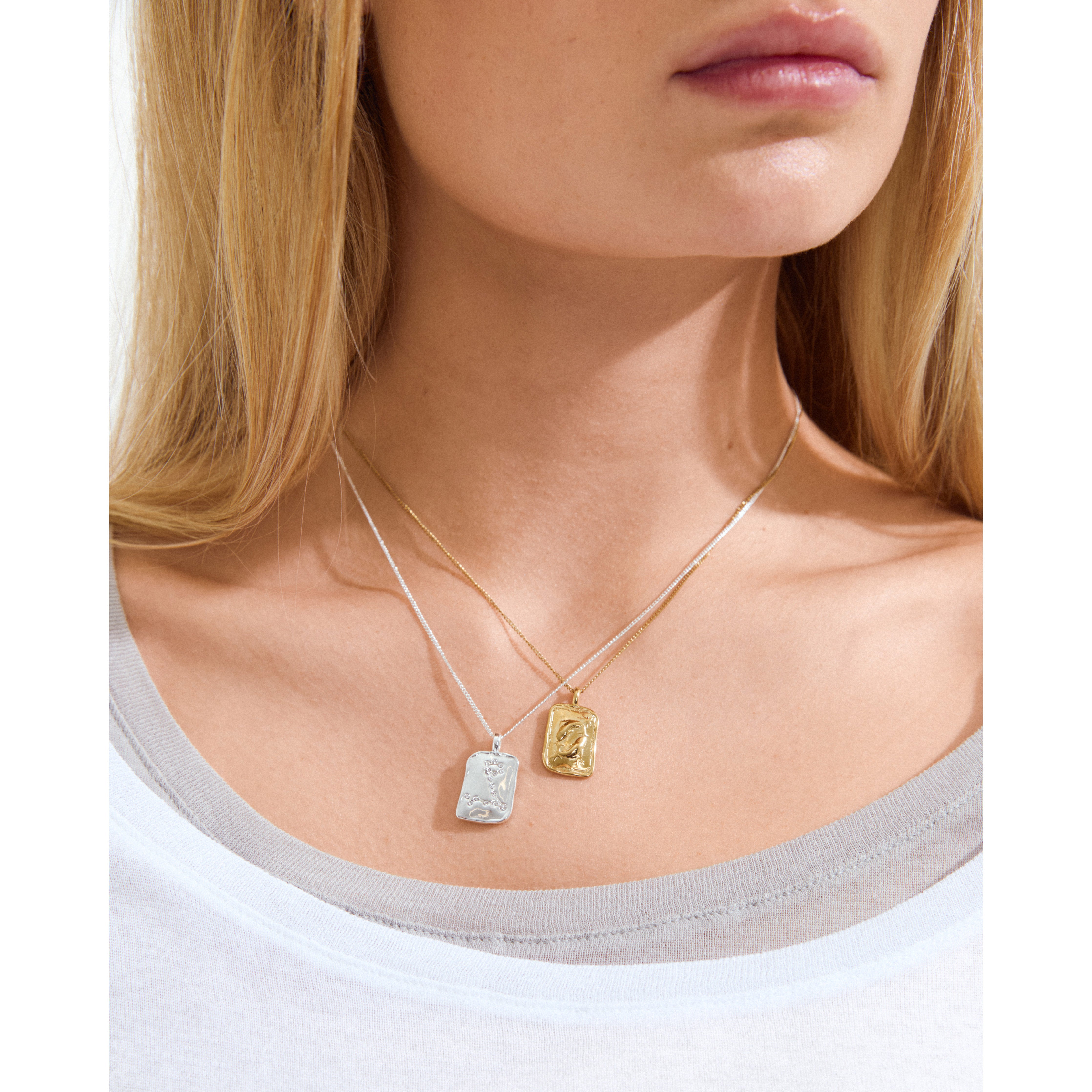 pilgrim-pisces-sternzeichen-kette-fische-versilbert-mit-wendecoin image 3