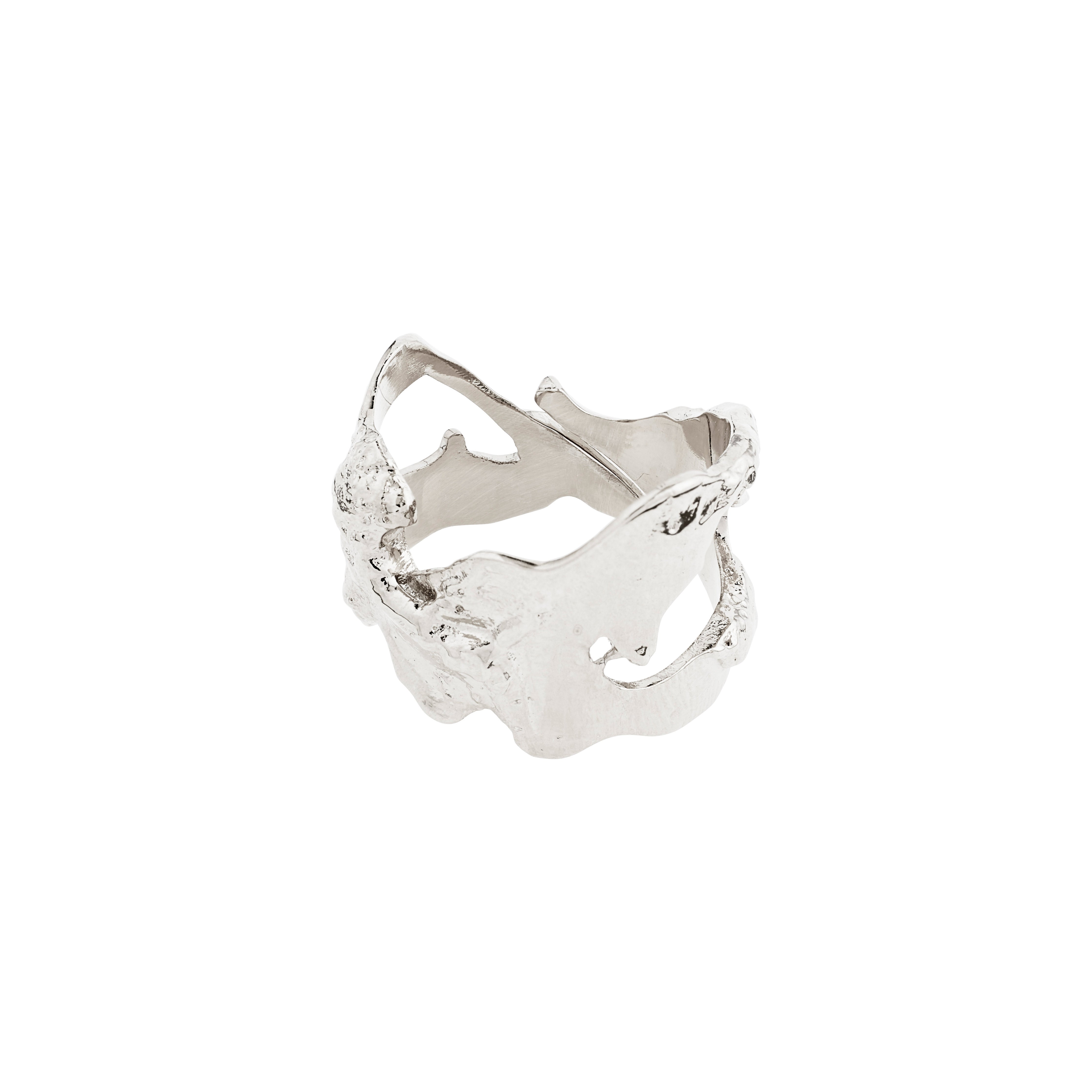 pilgrim-compass-ring-organisch-versilbert image 1