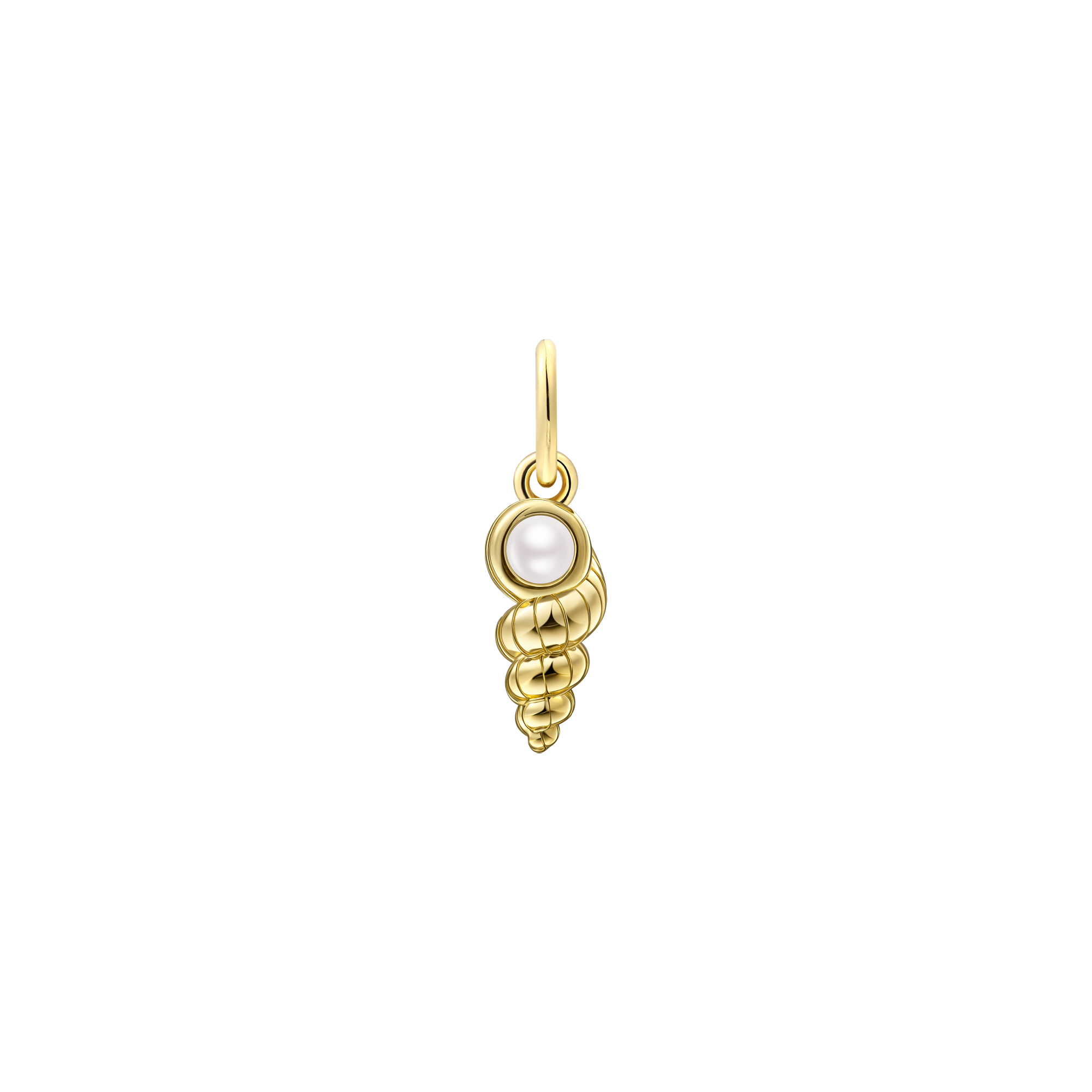 xenox-muschel-charm-925-sterlingsilber-rhodiniert image 2