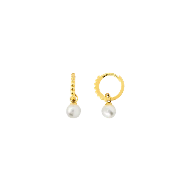 xenox-fine-perlen-creolen-xg14k6055g-585-gelbgold-mit-perlen-anh-nger image 1