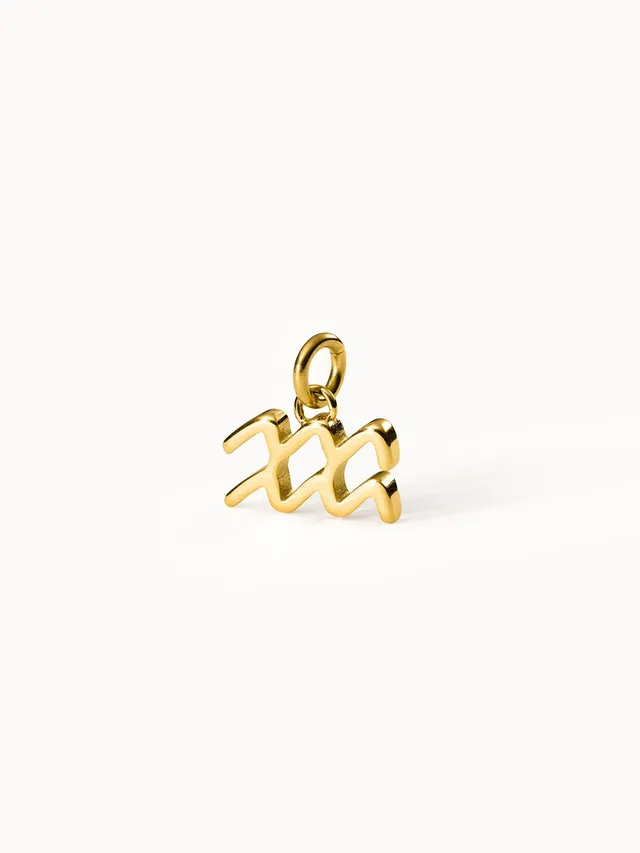 purelei-wassermann-zodiac-charm-sternzeichen-anh-nger image 1