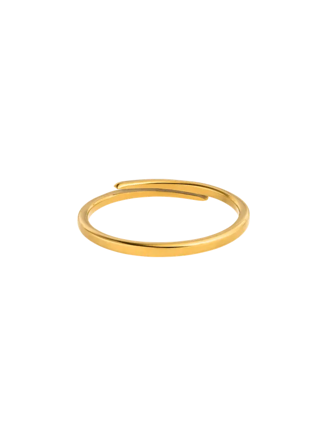 purelei-forever-adjustable-ring-verstellbar-52-58 image 1