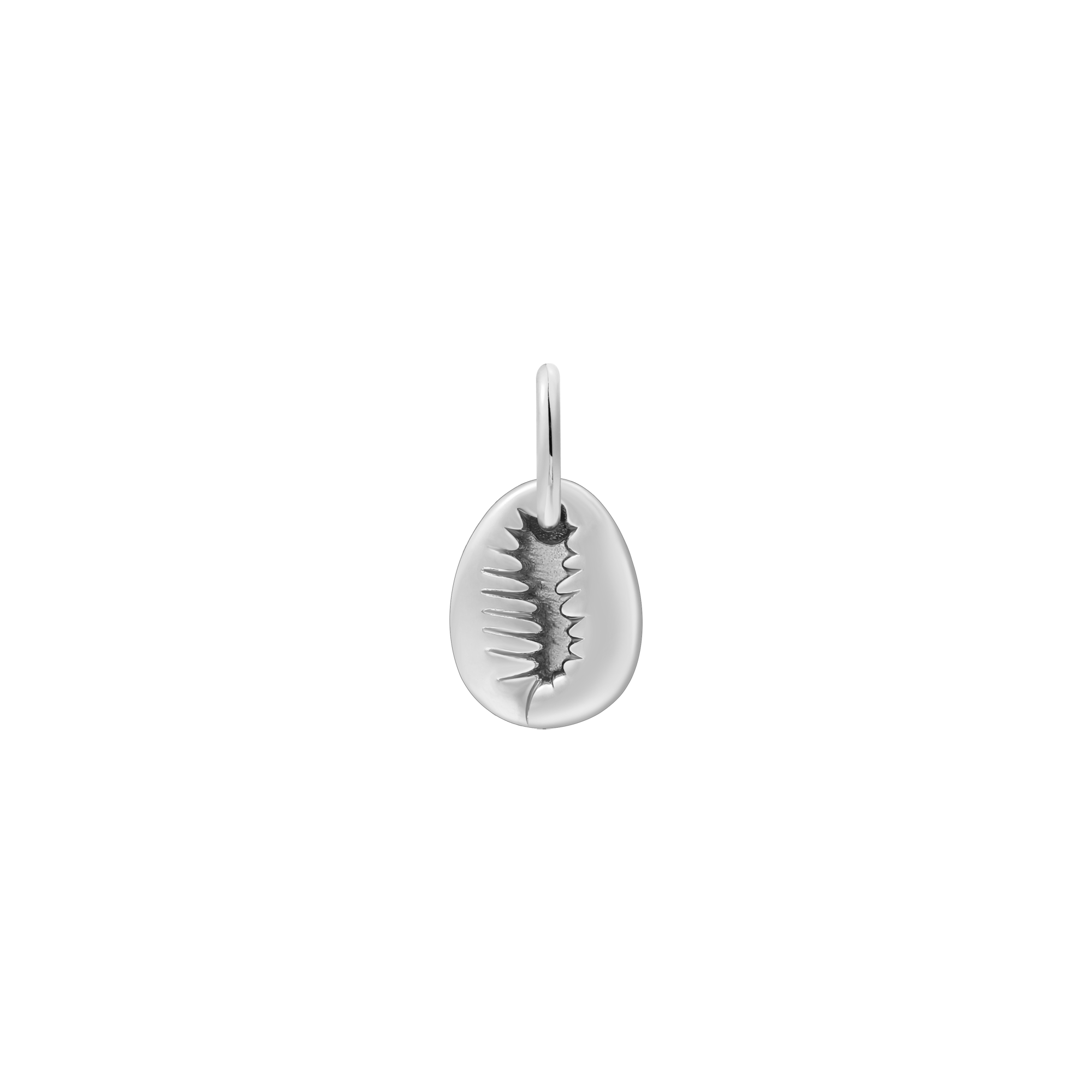 xenox-muschel-charm-925-sterlingsilber-rhodiniert-xs10513 image 1