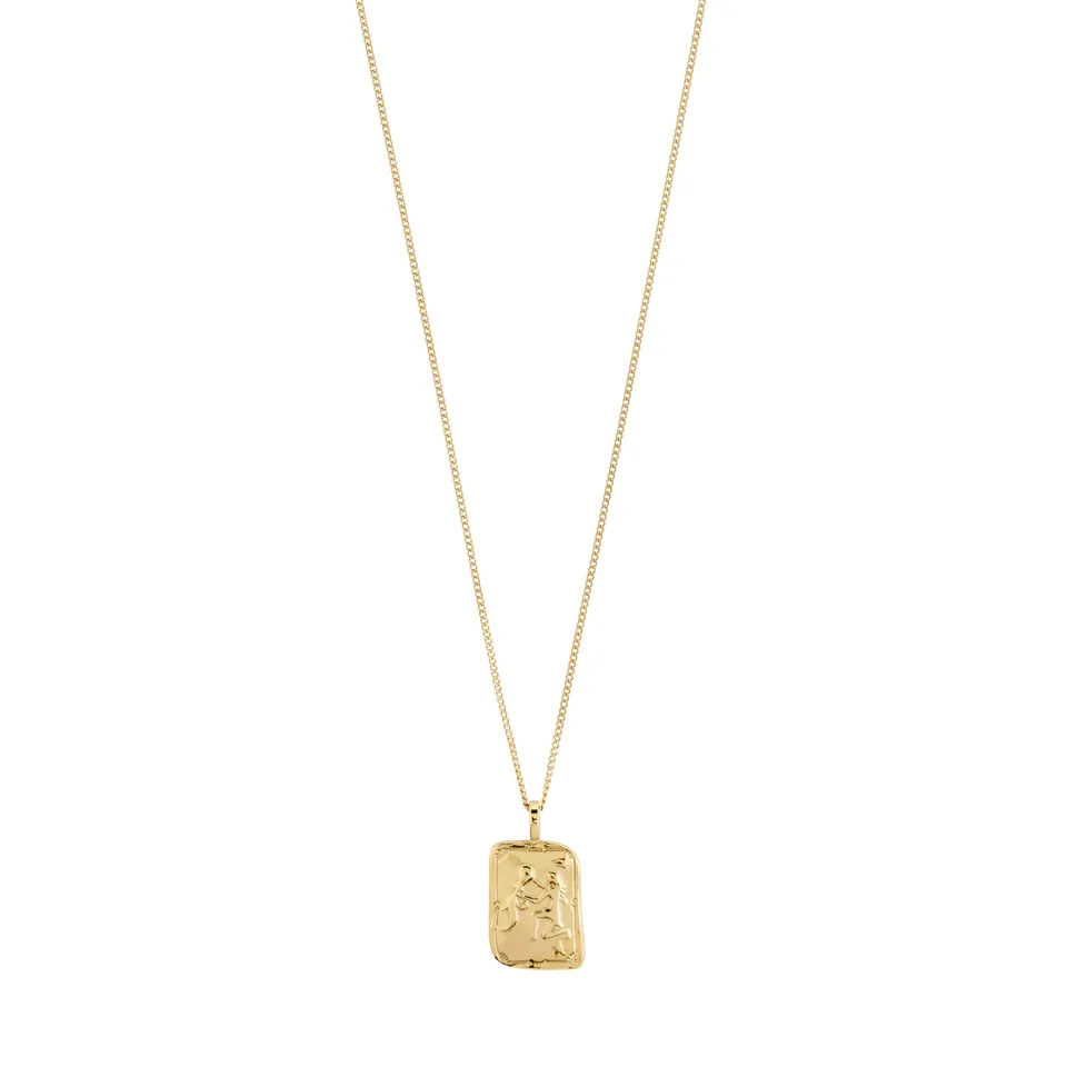 pilgrim-aquarius-sternzeichen-kette-vergoldet-wassermann image 1