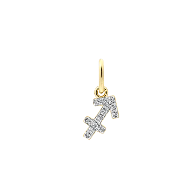 xenox-sch-tze-charm-925-sterlingsilber-18k-vergoldet-mit-zirkonia image 1