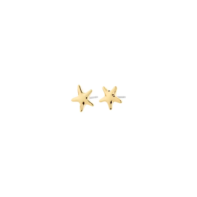 pilgrim-andr-ohrstecker-seestern-goldplattiert image 1