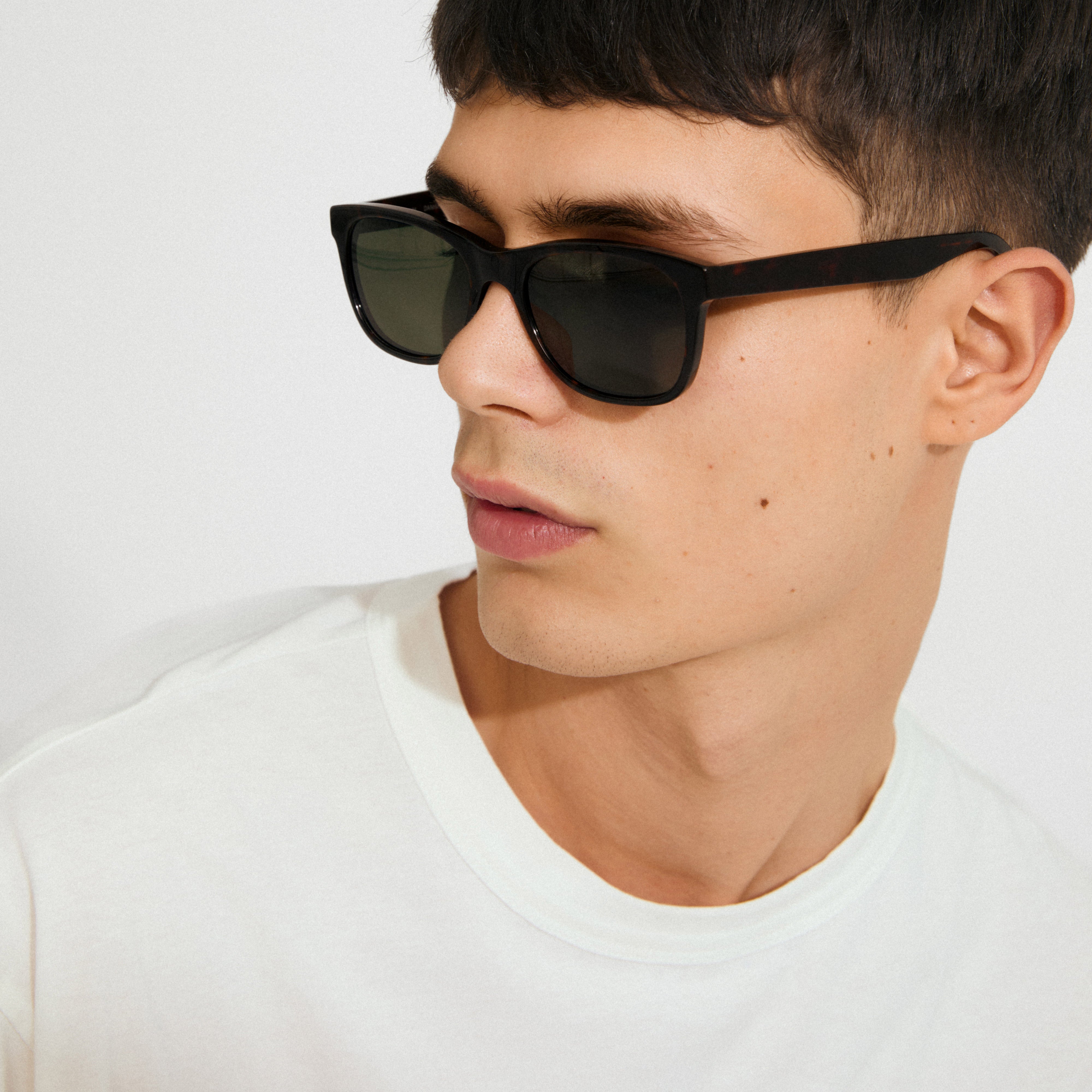 pilgrim-corbyn-sonnenbrille-braun-schildpatt image 4
